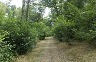 côté jardin - Foto 4