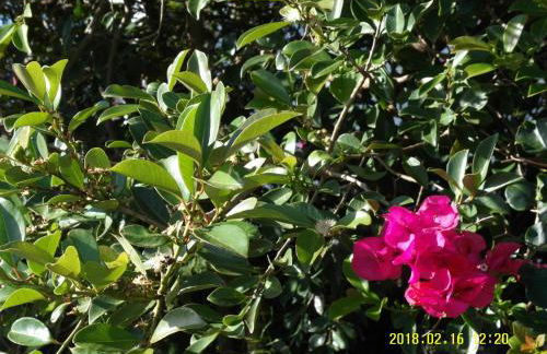 Casa do ti' Marrão - Photo 27