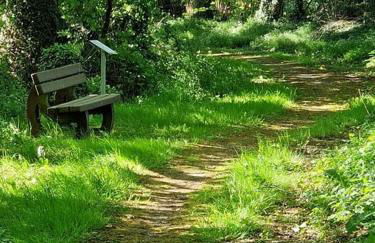 Ferienhaus mit großem Garten - Photo 9