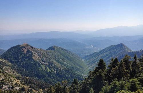 Charlami's Mansion -Παραδοσιακό Πέτρινο Σπίτι με Τζάκι και Πανοραμική Θέα - Foto 39