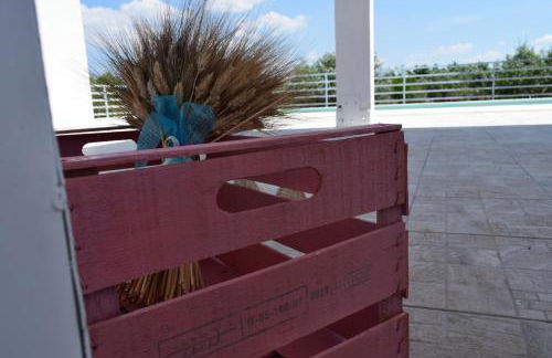 Azienda Agrituristica e Didattica CrauNari - Foto 11