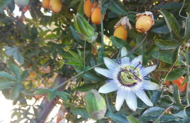 Casa La Taratola - Photo 30