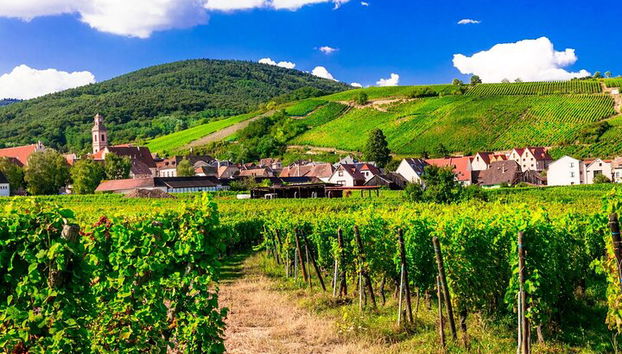 Elsässische Weinstraße Halbtagestour in kleiner Gruppe mit Verkostung ab Straßburg - Foto 5