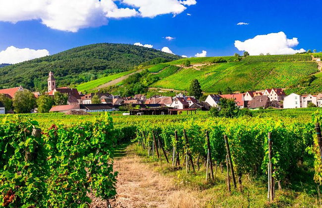 Elsässische Weinstraße Halbtagestour in kleiner Gruppe mit Verkostung ab Straßburg - Foto 5