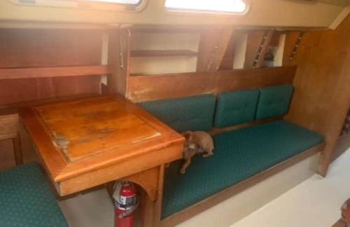 Sailboat Experience in Annapolis - Foto 8