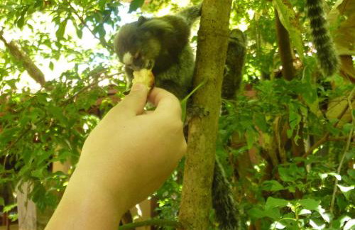 VILLA ON TAIRU BEACH, ITAPARICA Island, BRAZIL - Foto 70