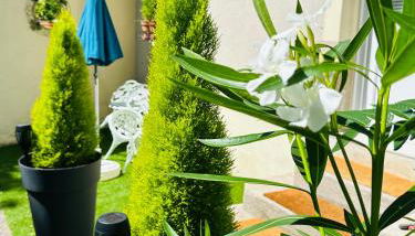 Studio charmant Parking & terrasse près du centre - Foto 3