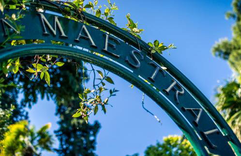 Apartments Maestral - Foto 15