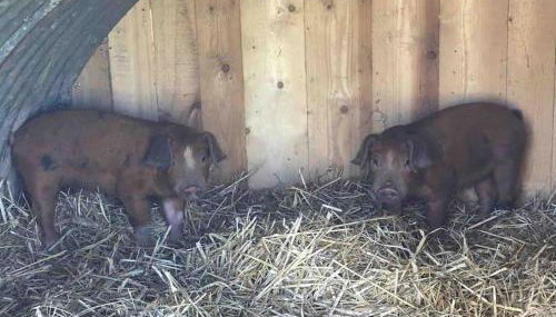Light & Airy Vaulted Barn Conversion with a View - Photo 2