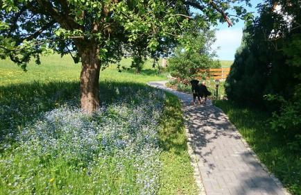 Ferienwohnung Hägelhof - Foto 24