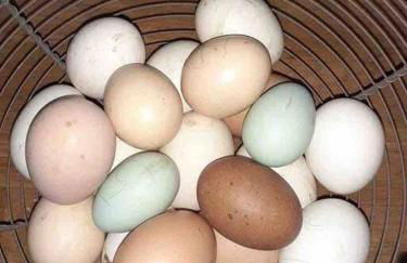 Le hameau de Donnedevie - Foto 7