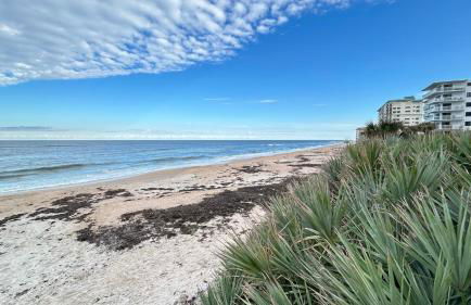 Seashell Escape - Foto 63