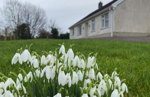 Betty's Farm Cottage - Foto 58