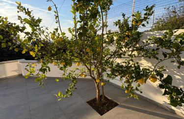 Villetta Ischitana - Terrazza con Giardino - Foto 65