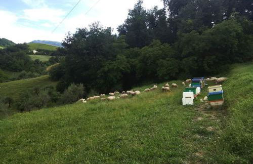 Agriturismo Bellavista - Foto 25