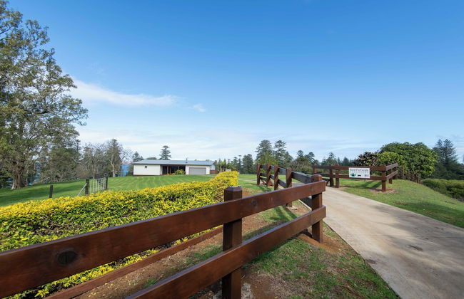 Beefsteak Homestead - Foto 33