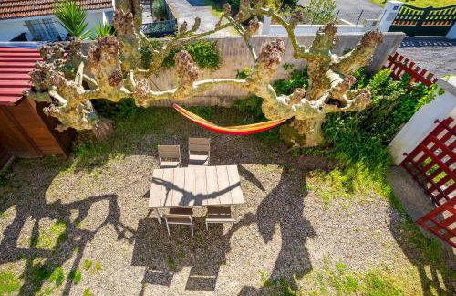 Joli T3 Pays Basque Tarnos Landes - Foto 18