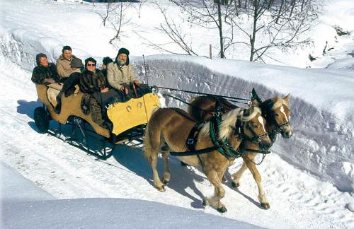 FeWos Haus Rebstock - Foto 79