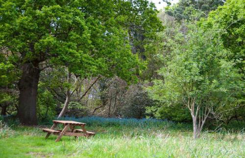 Laundry Cottage in a Nature Reserve - Sunday Times 100 coolest Cottages - Foto 7