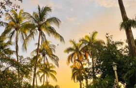 Pool! Best location! Steps to the water! Kid friendly! - Foto 29