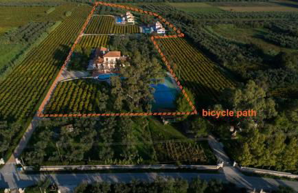 Aneli Luxury Villas - Villa Semeli - Foto 4