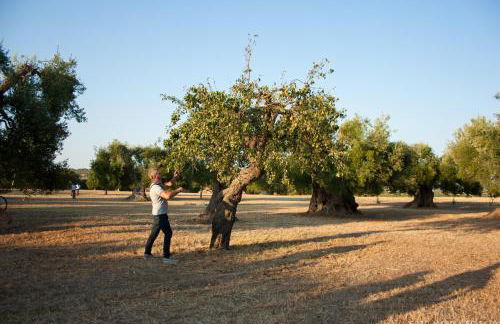 grottedisileno - Foto 26