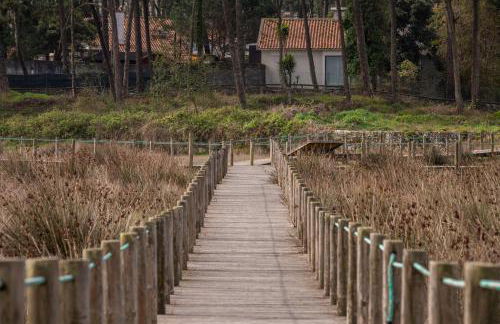 Bungalow B2 - Nature, Beach & River - Photo 73