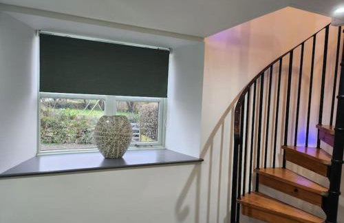 Three Little Pigs - Foto 13