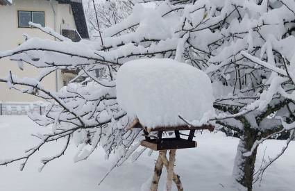 Kern's Hoamat - Foto 16