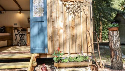 Tanglewood Shepherds Hut - Foto 3