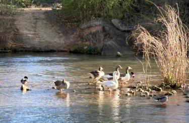 La Escapada - Foto 19