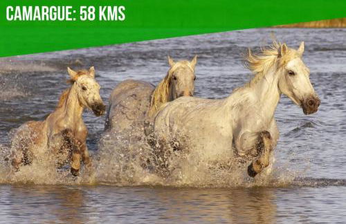 LES ARCHES - BELLE DECORATION - WIFI - AC CLiM - Foto 28