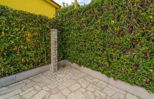 Marina VIP - Foto 16