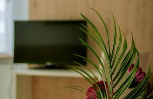 Pension Tokus - Foto 39