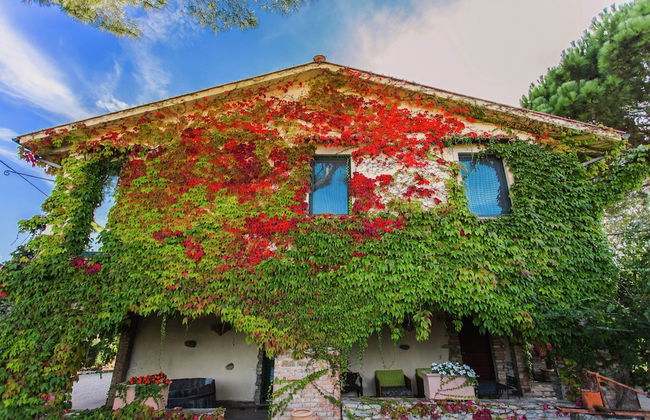 Farmhouse in Marsciano With Vineyards Olive Groves - Foto 1