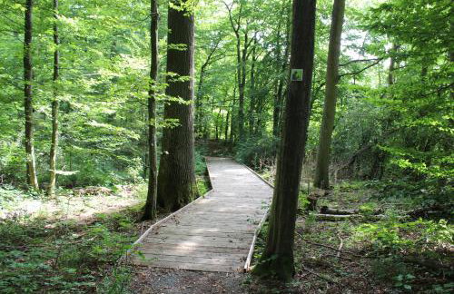 Ferienwohnung Forellenhof - Foto 30