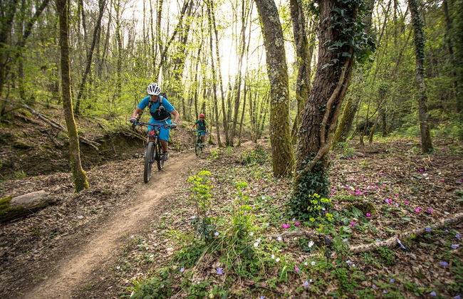 Agriturismo San Galgano - Foto 26