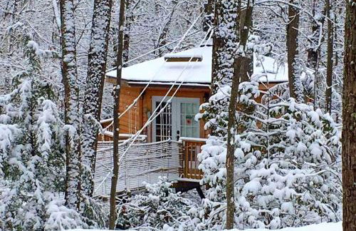 Stunning Tree House Rental in the Forest near Beckley, West Virginia - Foto 18