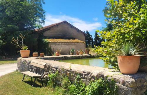 Domaine du grand platane - Foto 15