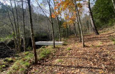 Alto do Vagar - Foto 53