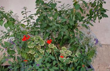 Quiétude au Bord de Loire. - Foto 10