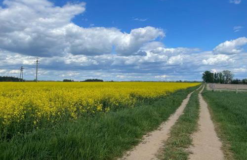Siedlisko Stara Poczta Podlasie z jacuzzi, basenem i dużym ogrodem - Foto 54