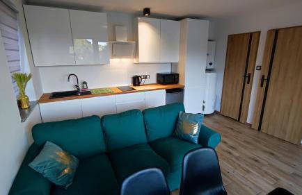 Blu Raj - domy w Sudetach - Foto 33