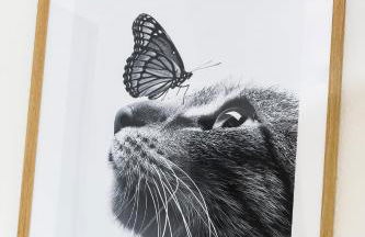 Ferienwohnung Sternstunde - Foto 43