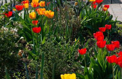 Ferienwohnung Unter dem Schwalbennest - Foto 17