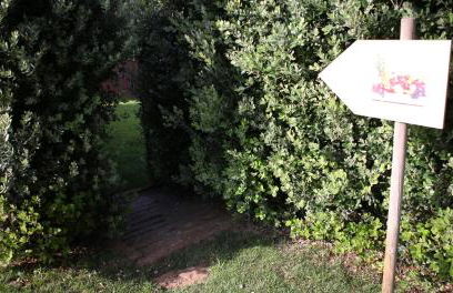 Woof & Sun - Foto 35