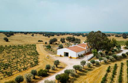 Monte das Lages - Foto 34