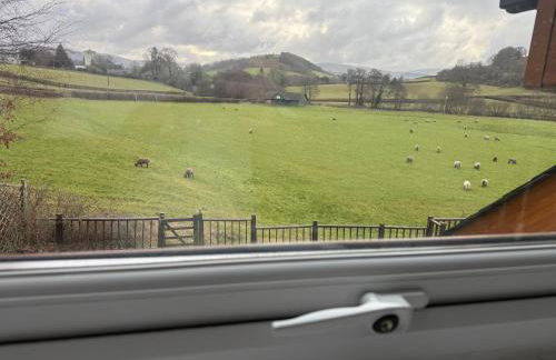 Swn yr Coed - Foto 27