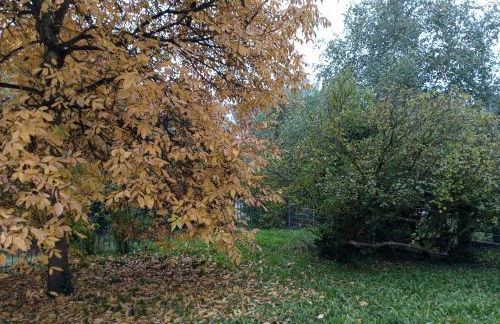 Obergeschoss - Katharina von Berg - Foto 38