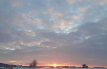 GREEN HOUSE - Foto 15